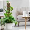 Moss Pole Plant Support 4Pcs 24 Inch Water Retention Corrosion Resistant Moss Stick with D-Shape Fastening Strap for Climbing Plants