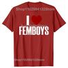 I Love Femboys T-shirt Adult Humor Funny Gay LGBT Memes Gift Short Sleeve Casual Cotton Unisex Soft T Shirts EU Size