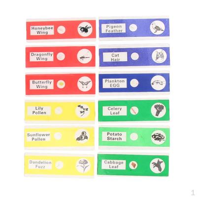 12Pcs Prepared Plastic Slides with Children Kids School Students