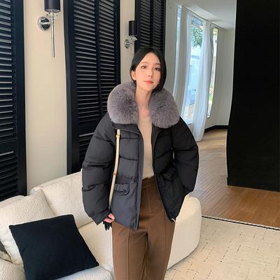 Autunno Inverno Ispessito Caldo Parka Donna Casual Carino Tinta Unita Tasca Grande Giacche Larghe Capispalla