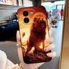 For VIVO Y37 Pro Case Cover Black TPU Shockproof Shell For VIVO IQOO Z9X Phone Case Soft Silicone Funda V2354A Y37Pro Coque
