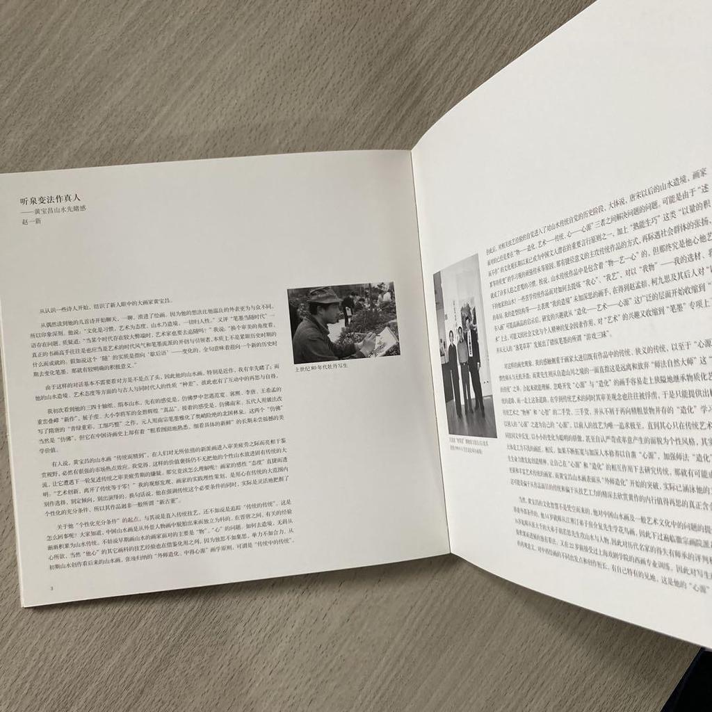 [USED] Huang Baochang Art Book Chinese