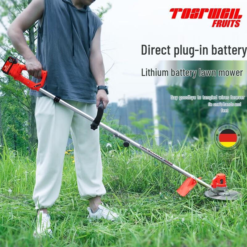 

TOSRWELL Cordless Electric Lawn Mower CN plug (adapter included)