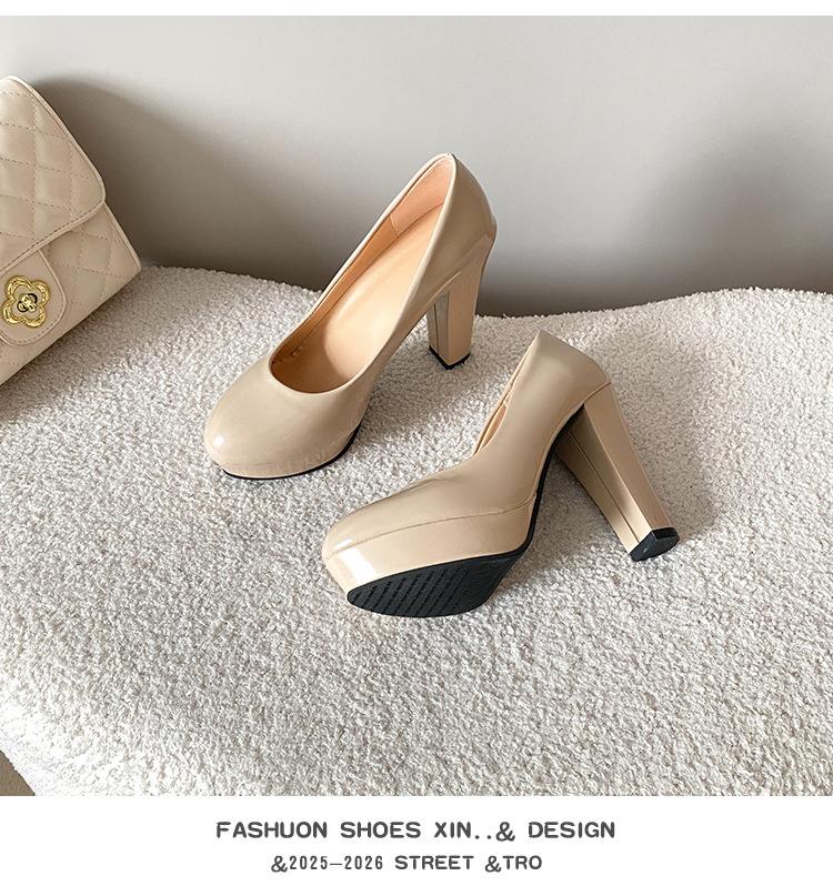 

Внешняя торговля большой размер высокие каблуки 2025 весна новая одинарная обувь круглый носок толстый каблук лакированная кожа водонепроницаемая платформа сексуальный толстый каблук свадебная обувь w 42