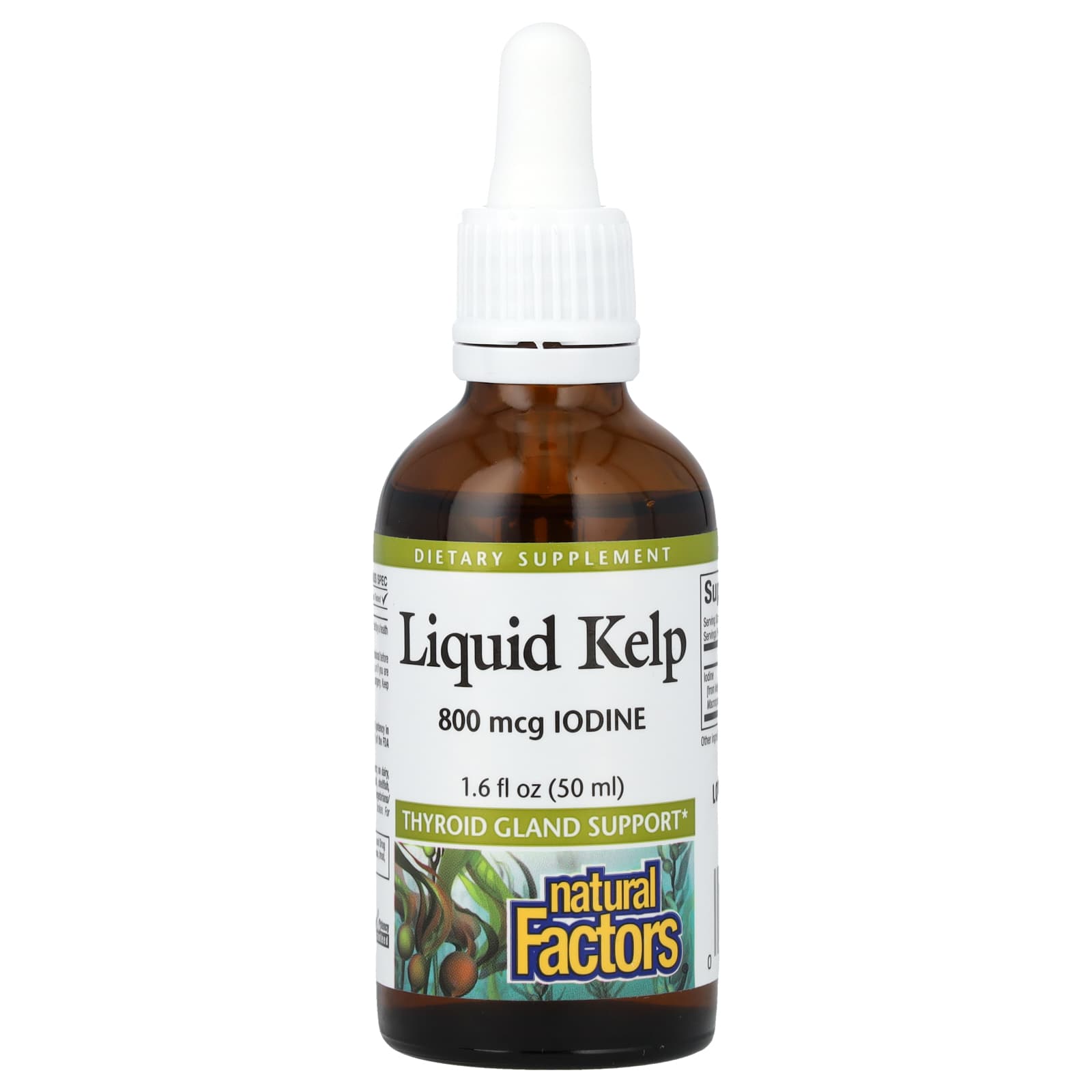 

Natural Factors, Liquid Kelp, 800 mcg, 1.6 fl oz (50 ml)