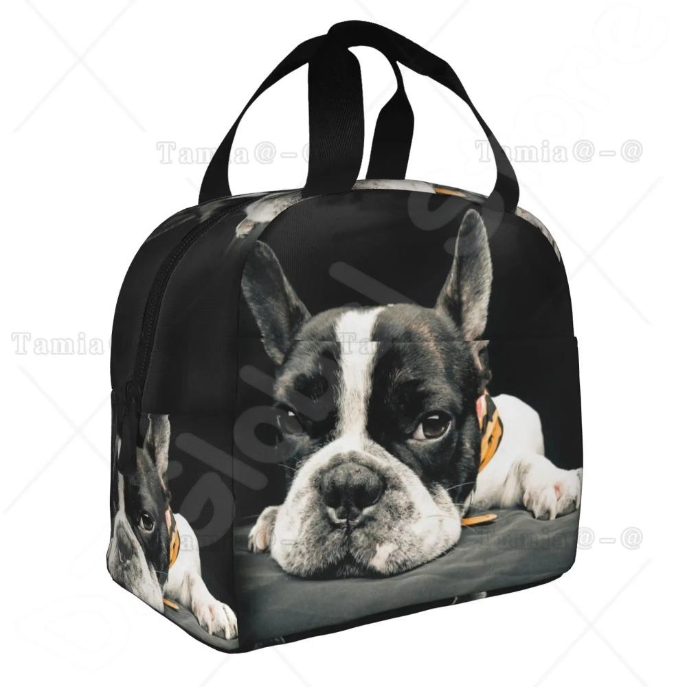 French Bulldogs Dog Insulated Lunch Bag for Women Men and Kids Large and Reusable Handle Freezable Work School Travel Tote Bags
