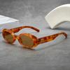 Retro Oval Sunglasses for Women Fashion Premium UV Protection Outdoor Travel Sun Glasses Goggles
