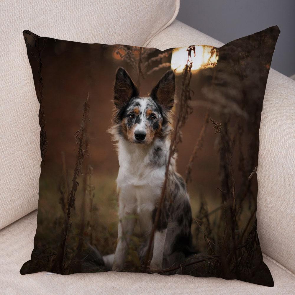 Cute Pet Animal Dog Print Pillowcase Scottish Border Collie Cushion Cover  Sofa Car Decoration