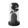 Preserved Black Roses in Glass Dome Halloween Light-up Eternal Flower in Cloche with Skull Pumpkin Statue for Home Kitchen Mantel Tabletop Decor