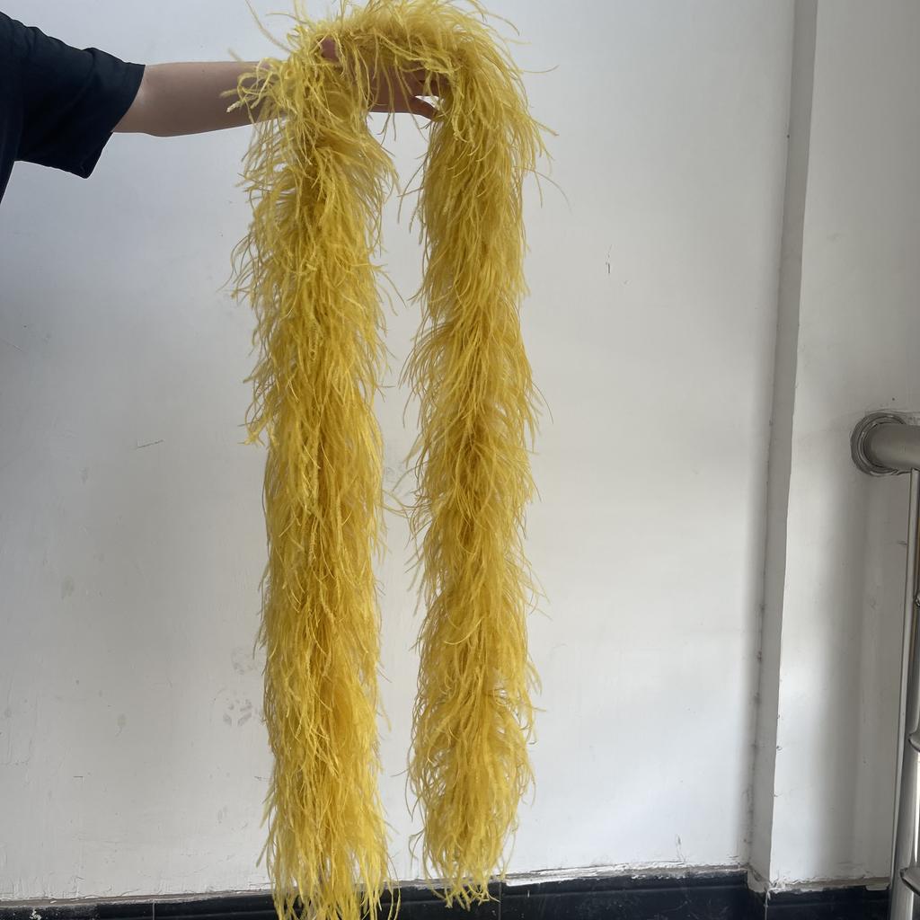 2M Red Ostrich Feathers Boa 1-10Ply Thick Natural Feather Shawl for Wedding Clothing Decoration Sewing Plumes Crafts Accessory