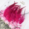 100Pcs Dyed Chicken Feather Feathers 10-15cm for DIY Crafts Handmade Jewelry Wedding Party Festival Costume Decorations