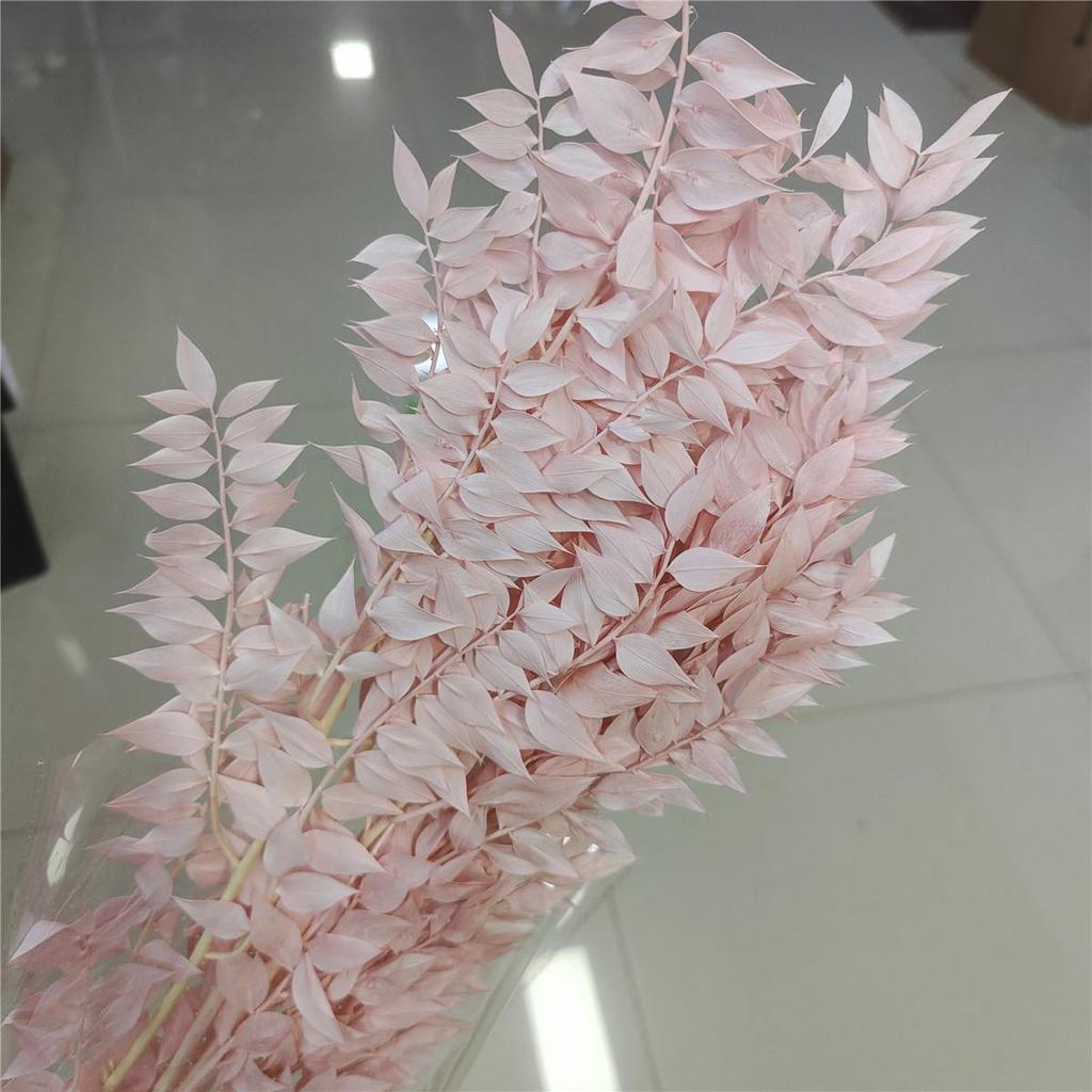 Rich Noble Leaf Dried Panda Bamboo Flowers - Photography Props for Weddings, Living Room, or Hotel Decorations