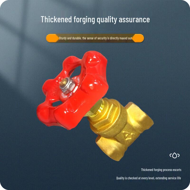 ZHONGYUROPENETBELT Brass Internal Thread Water Gate Valve