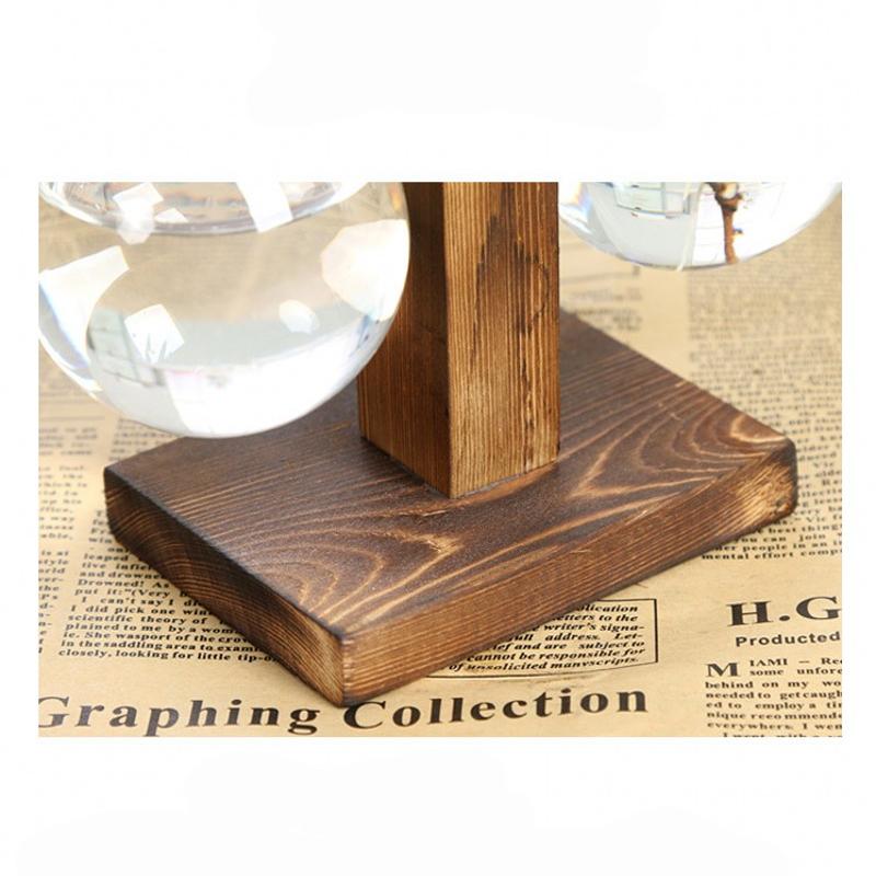 Creative Transparent Glass Plants Vase