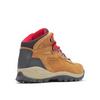 Columbia Ботинки для хайкинга Newton Ridge™ WP Amped Plus Size