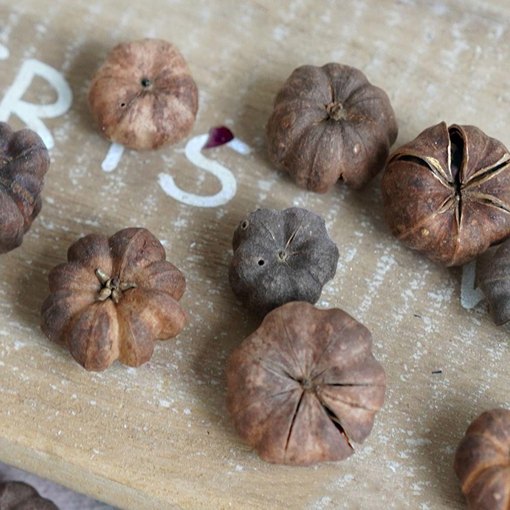 15pcs Dried Vegetables Dried Mini Pumpkins Dried Fruit Halloween Mini Pumpkins  Party Decoration