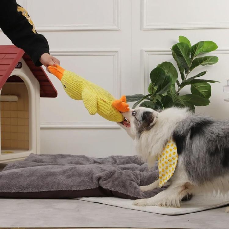 Dog Chewing Toy Plush Quack Pet Dog Snuffle Toy Encouraging Foraging Skill