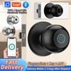 Inteligentny TUYA Bluetooth Cylindryczny Automatyczny Cyfrowy Zamek do Drzwi z Pokrętłem Do Domu Antywłamaniowy Bezkluczykowy na Odcisk Palca Biuro Sypialnia Mieszkanie
