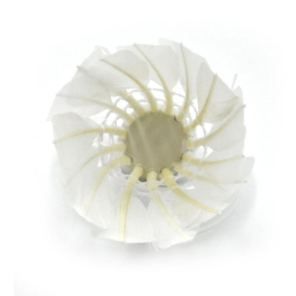 Shuttlecock Badminton 12Pcs Badminton Shuttlecocks Feather Shuttlecocks Sports Training Badminton Balls Outdoor Sports
