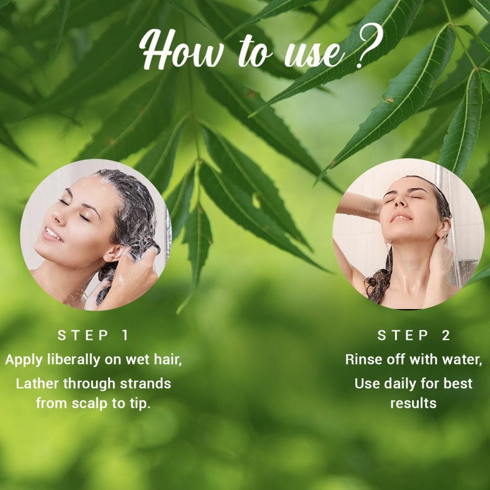 Biotique Neem Shampoo And Conditioner 650ml Anti Dandruff Treatment For Dry Itchy Scalp Hair Growth Fresh Lustrous