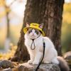 Personalized Custom Embroidered Pet Name Sun Hat Spring And Summer Outdoor Hat Pet Cat Dog Sun Hat Small Dog Sun Hat