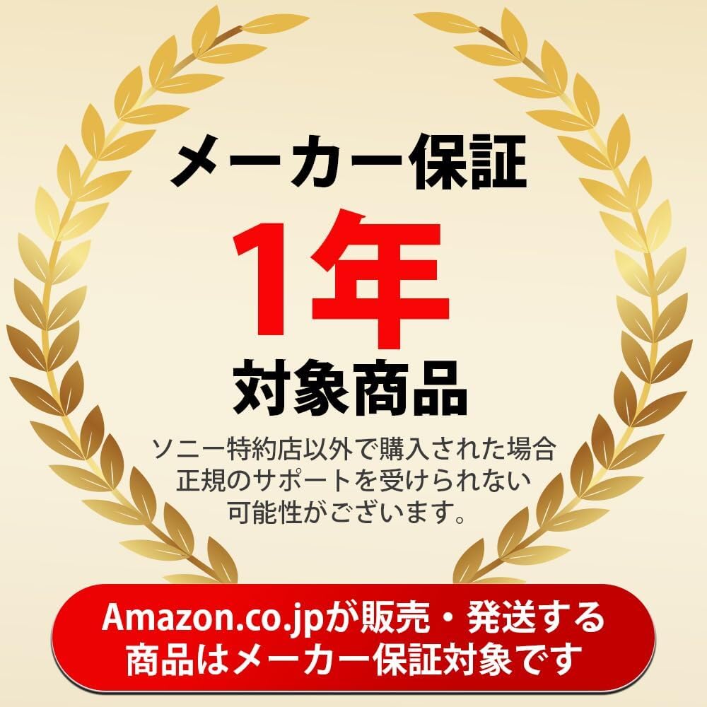 SONY Zoom Lens Kit for Mirrorless Camera Black ILCE-6700M High-Magnification 6700 APS-C (Includes Lens SEL18135)