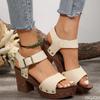 Ladies Designer High-heel Sandals Summer One-piece Fish Mouth Shoes Belt Buckle Sandal Casual Open Toed Roman Sandals