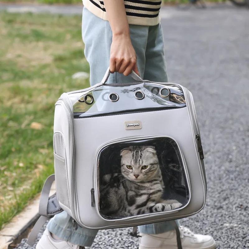 Cat Bag Out Portable Portable Backpack Large Space Breathable Double Shoulder Cat Schoolbag Pet Bag
