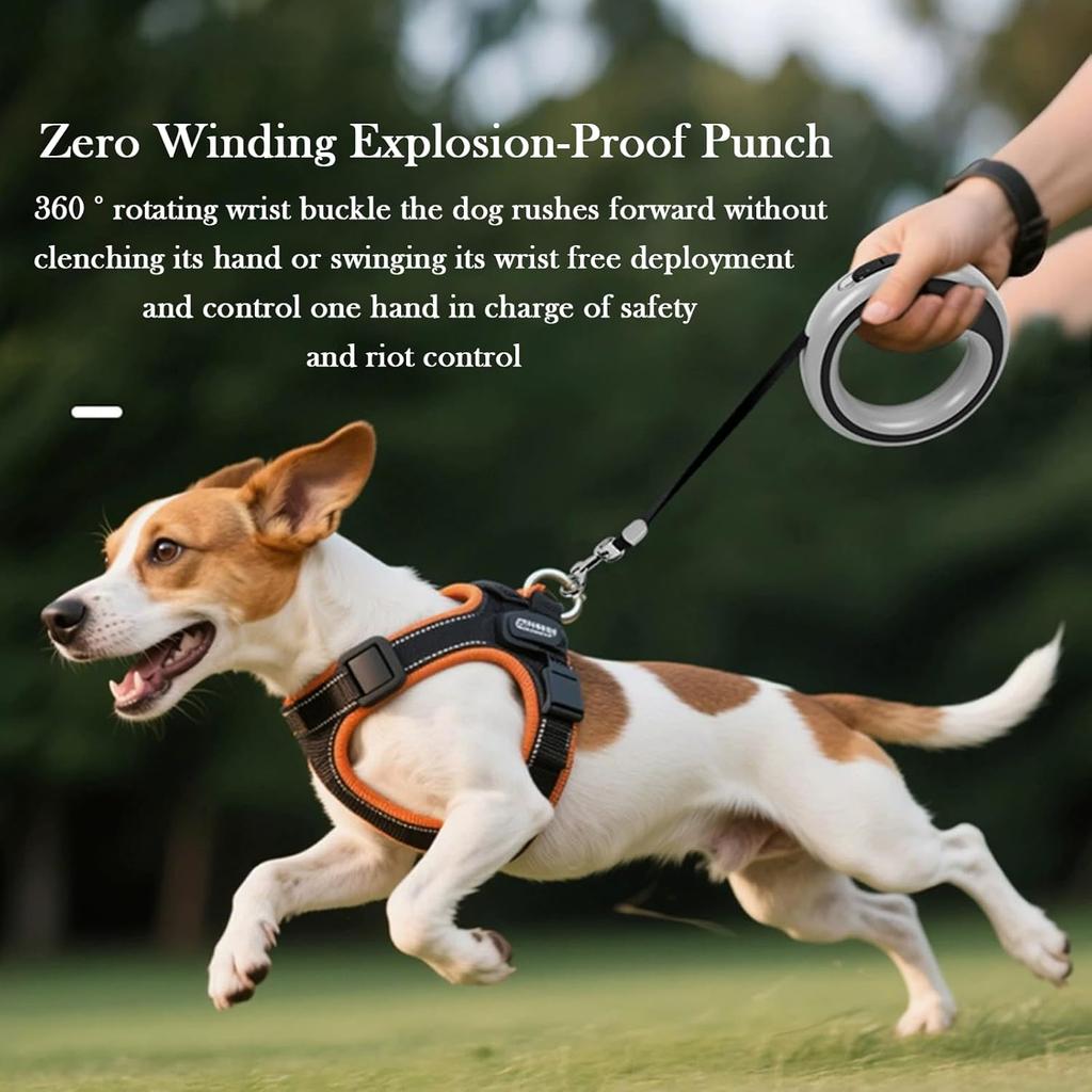 Retractable Dog Lead Heavy-Duty Extendable Dog Leads Strong Nylon Tape Leash One-Handed Brake  Lock Tangle-Free Design for Small