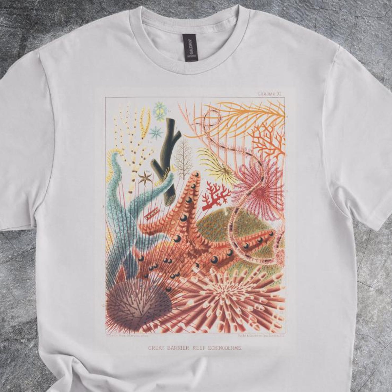 Reef Wildlife Art Shirt Coral Sea Creatures Tshirt Cotton Tee Short Sleeve Light Gray 140