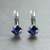 Royal Blue Zircon Oval Earrings Fashionable High-End Design Accessories for Banquets Personalized Simple Zircon