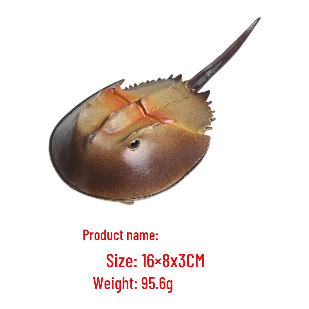 "Wildes Meerestier Simulationsmodell": Kinder Bildungs-Heimdeko-Spielzeug"