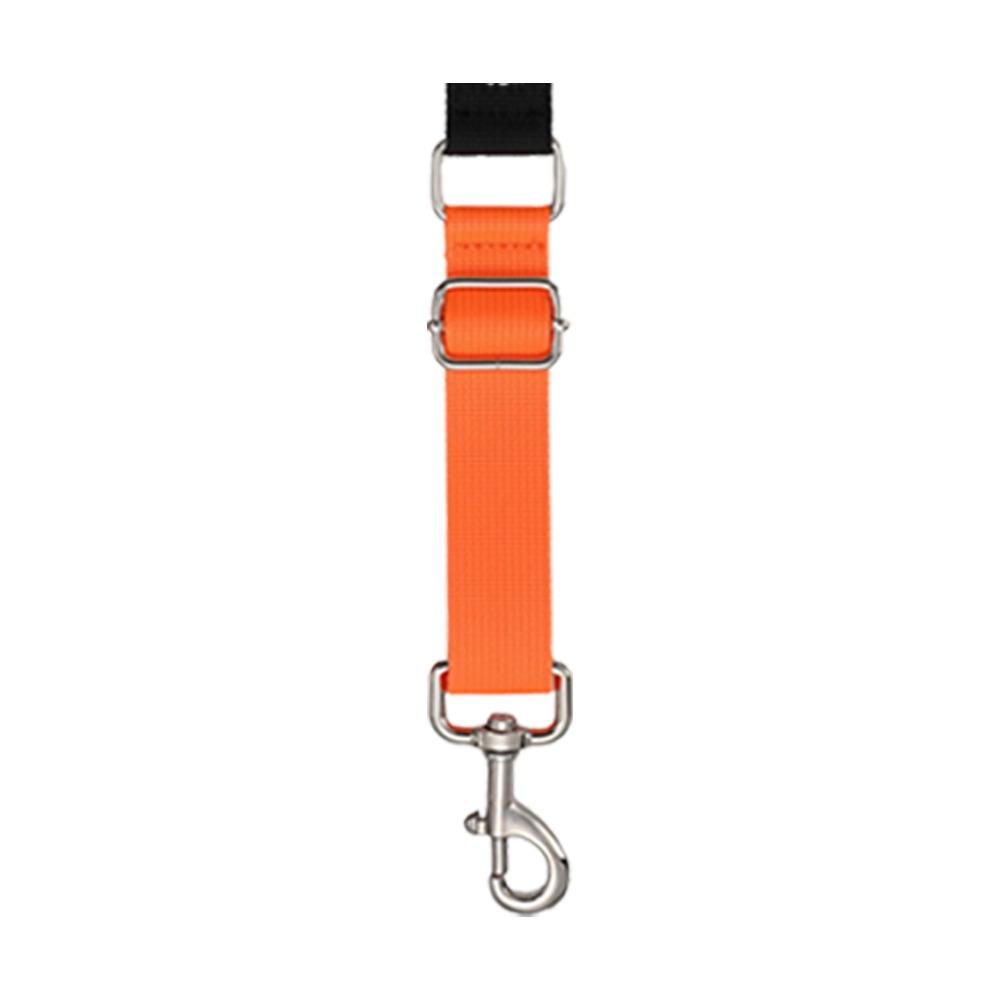 Elastic Dog Grooming Leashes Basic Design Pet Trimming Leashes New Pet Loop Extensions Pet Use