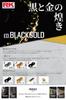 RK BG525XRE CLF ED.BLACKGOLD Motorcycle Chain