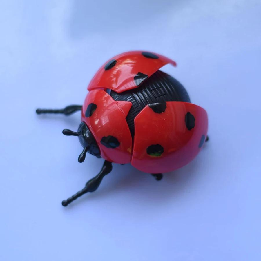 Winding spring seven-spotted ladybug children's toy/Simulated beetle Golden Turtle Swaying Ladybug/Children's cognitive toy