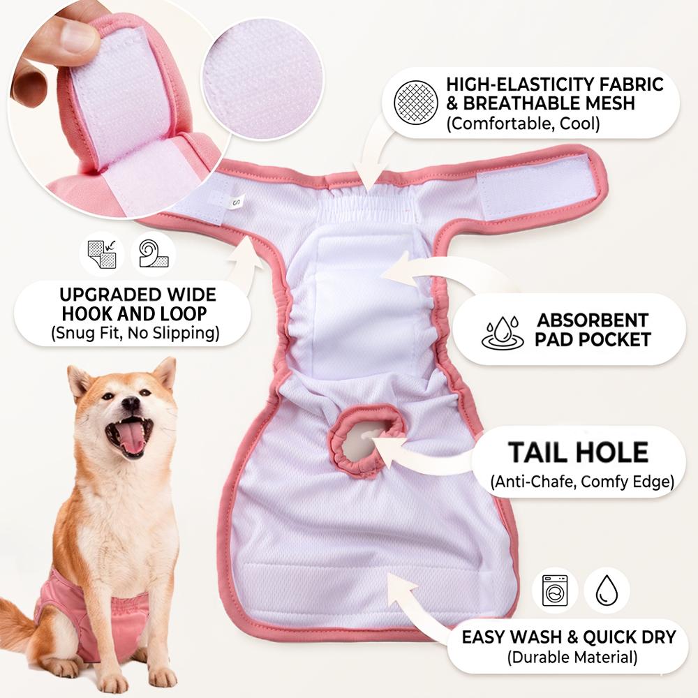 Reusable Sanitary Panties Washable Small Dog Pet Diapers Female Dogs Large Physiological Pants Shorts Male Cats Pet Menstruation