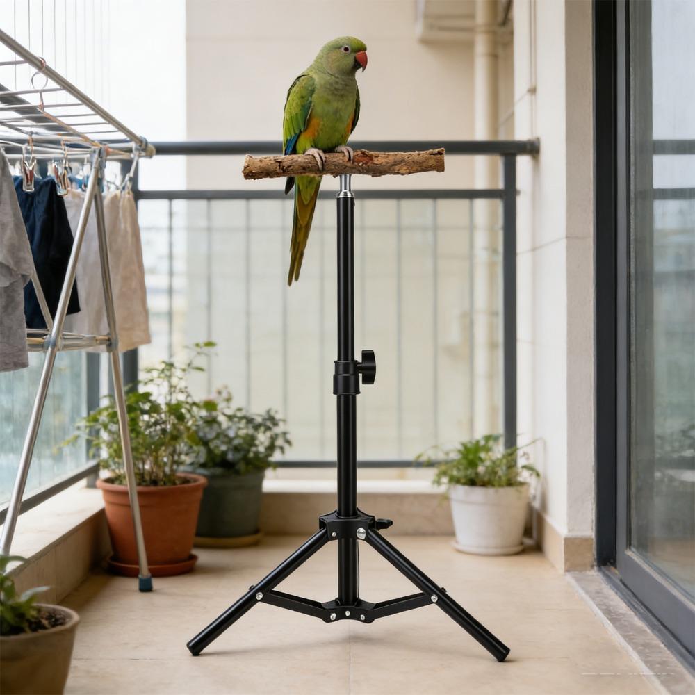 Black Bird Training Perch Alloy Bird Play Perch Outdoor Bird Stand Physical Activity Space