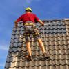 IsolBau Roof Paint Dachfarbe White 25