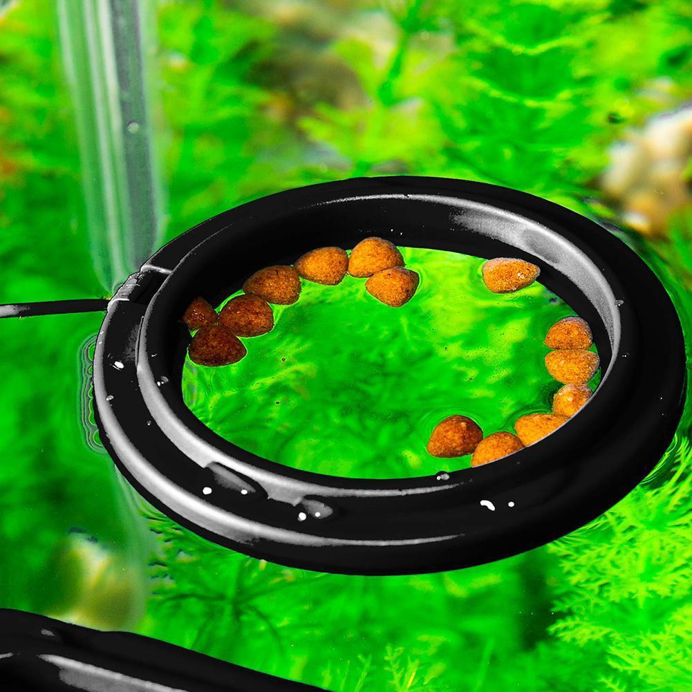 Fish Food Feeding Ring Aquarium Fish Tank Fish Feeder for Tropical Fish Food Feeding Assistant Single Layer Black Square