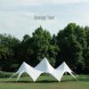 ZISIZ Outdoor Camping Canopy Tent