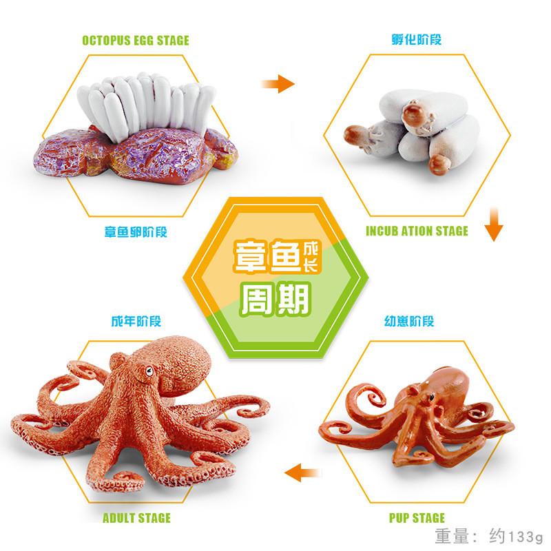 Realistic Ocean Animal Growth Cycle Model Set Featuring Octopus Penguin And Starfish