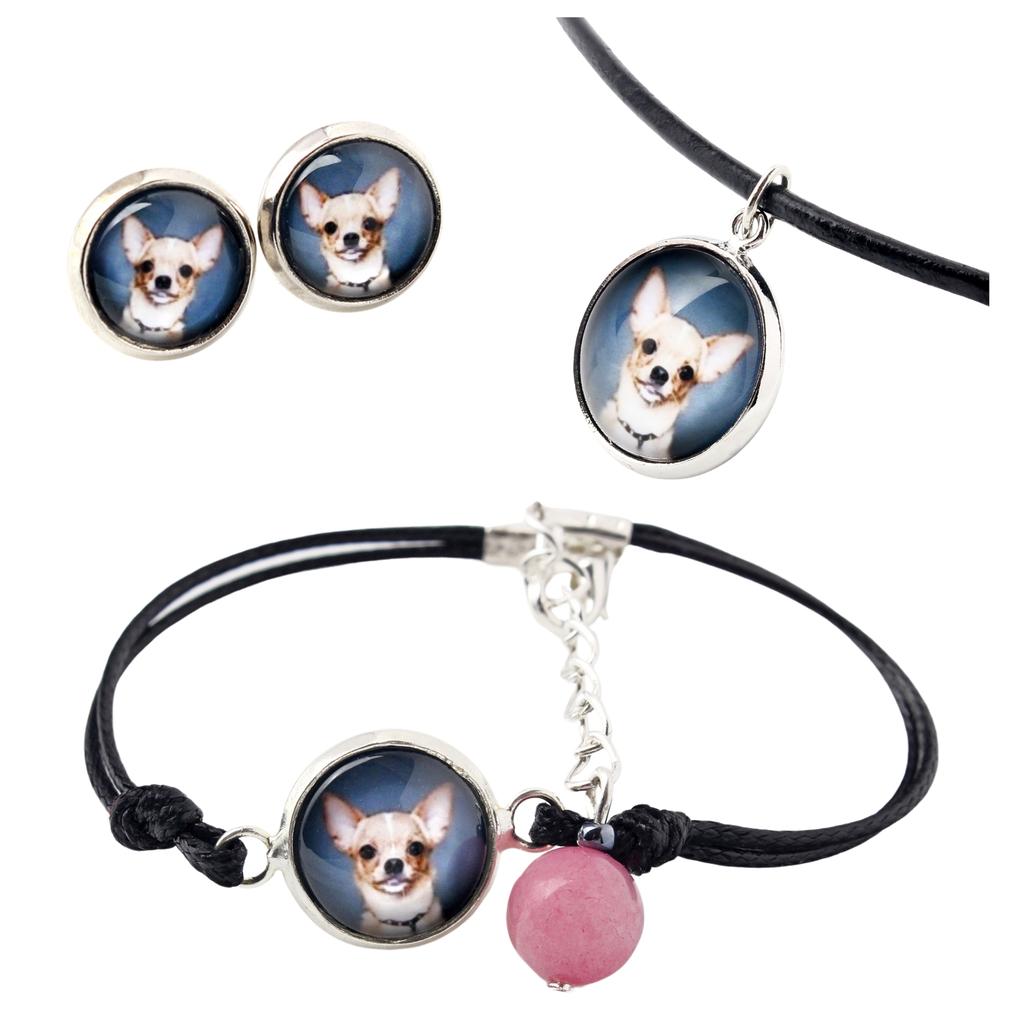 Dachshund Smooth-haired, Wiener dog, Badger dog – A set of jewelry in a box, necklace | Art-Dog