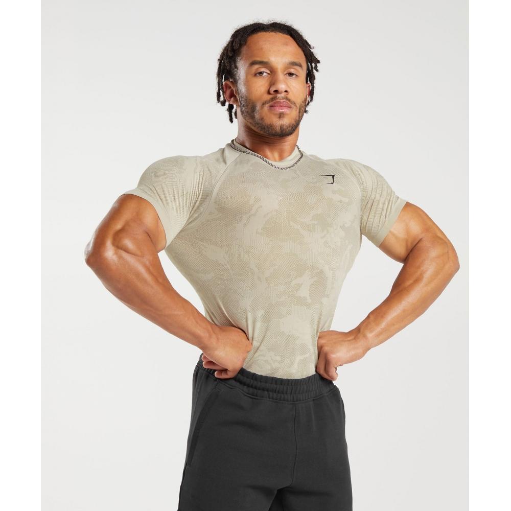

Gymshark Футболка Geo Seamless Pebble Grey Cement Brown A5A2D GB79 3XL