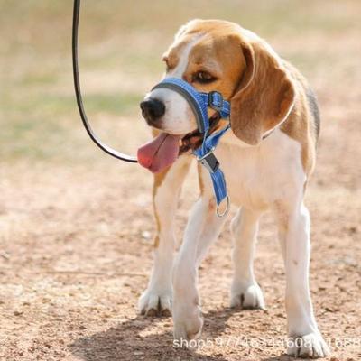 Verstellbarer Maulkorb für Hunde aus Nylon: Outdoor-Schutz gegen Beißen, Bellen und Fressen