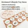 Life Cycle Board Montessori Kit Biology Science Education Toys for Kids Sensory Tray Animal Figure Life Cycle Sorting Wooden Toy