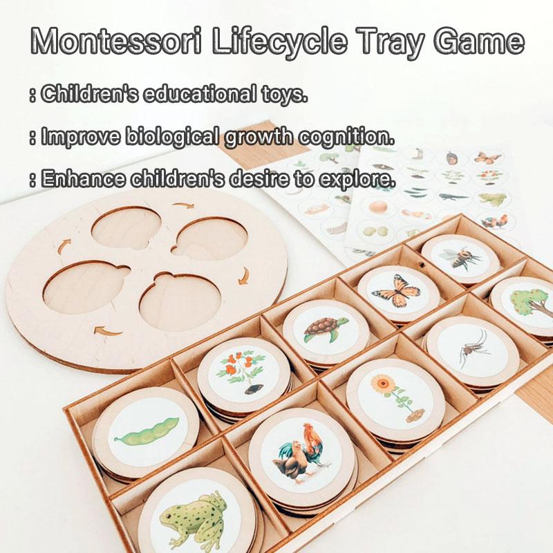 Life Cycle Board Montessori Kit Biology Science Education Toys for Kids Sensory Tray Animal Figure Life Cycle Sorting Wooden Toy