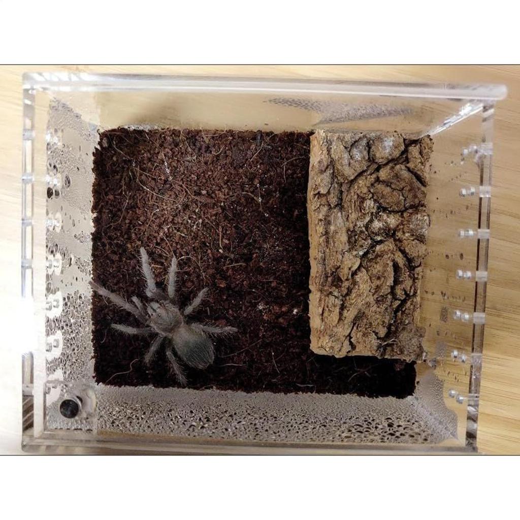 Spider Terrarium Transparent Gecko Breeding Tank Acrylic Snake Enclosure For Lizard Frog Gecko Snail Turtle Observation Breeding