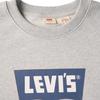 Levis Denim Wanderer Series FW24 Logo Print Ribbed Crewneck Loose Long Sleeve Sweatshirt Men sweatshirt Gray 0018N-0001
