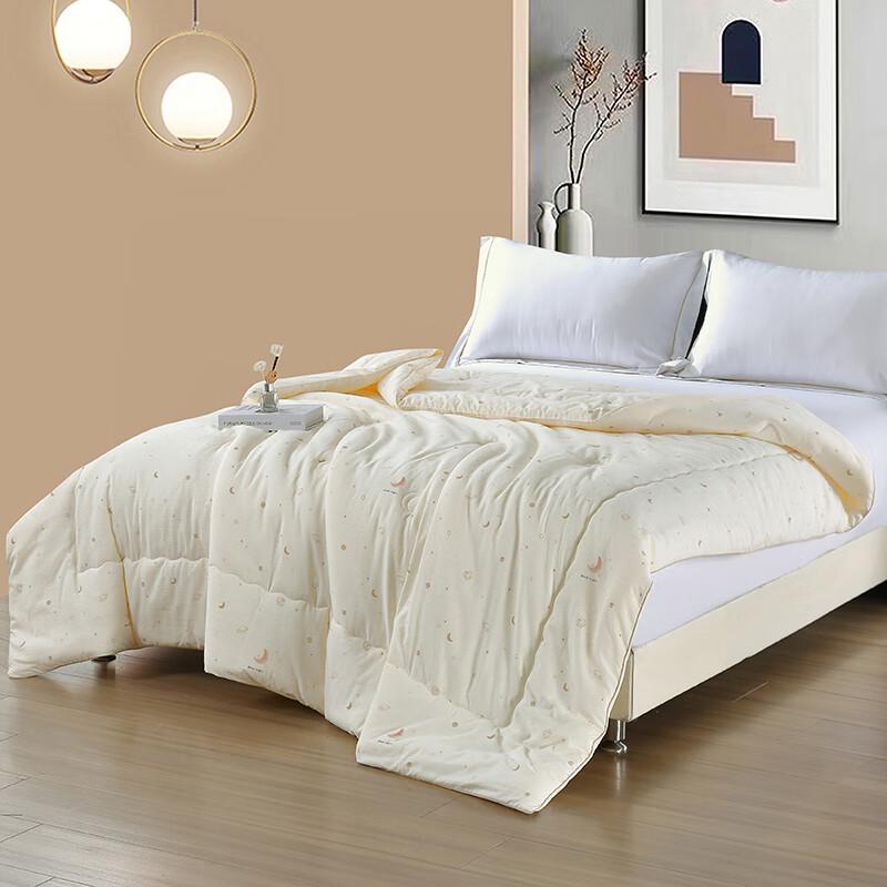 XuanYu Home Textiles Fluffy Warm Core All-Season Quilt