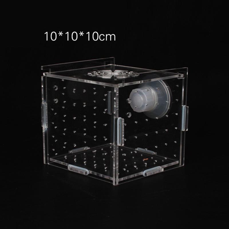 Single Grid Breeding Box Incubator Isolation Hairtail Nursery House Aquarium Accessaries